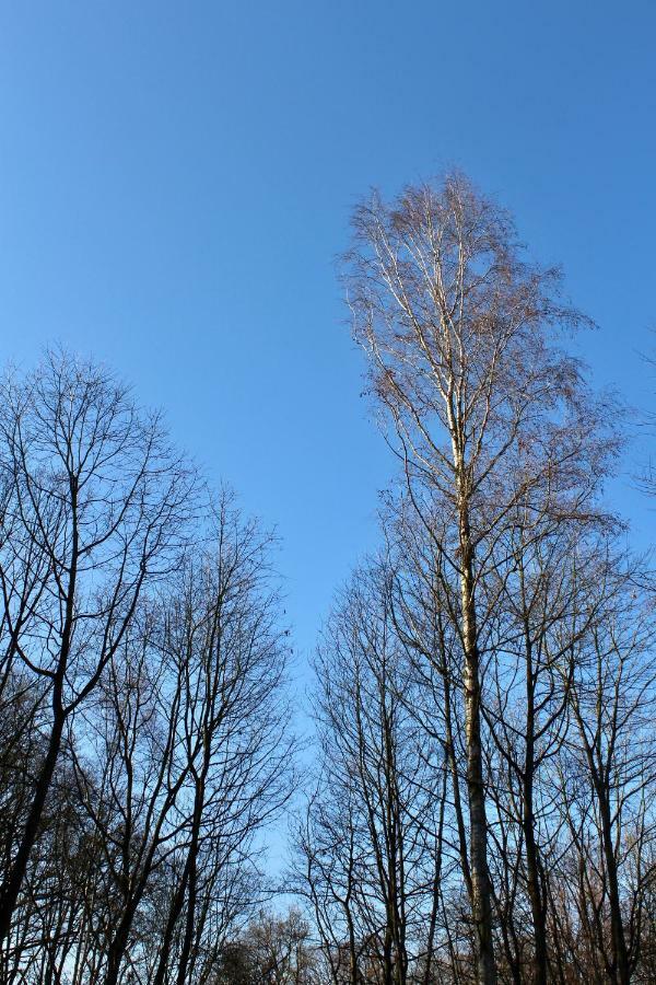 Linden-Jachthoorn Apartment Lubbeek ภายนอก รูปภาพ